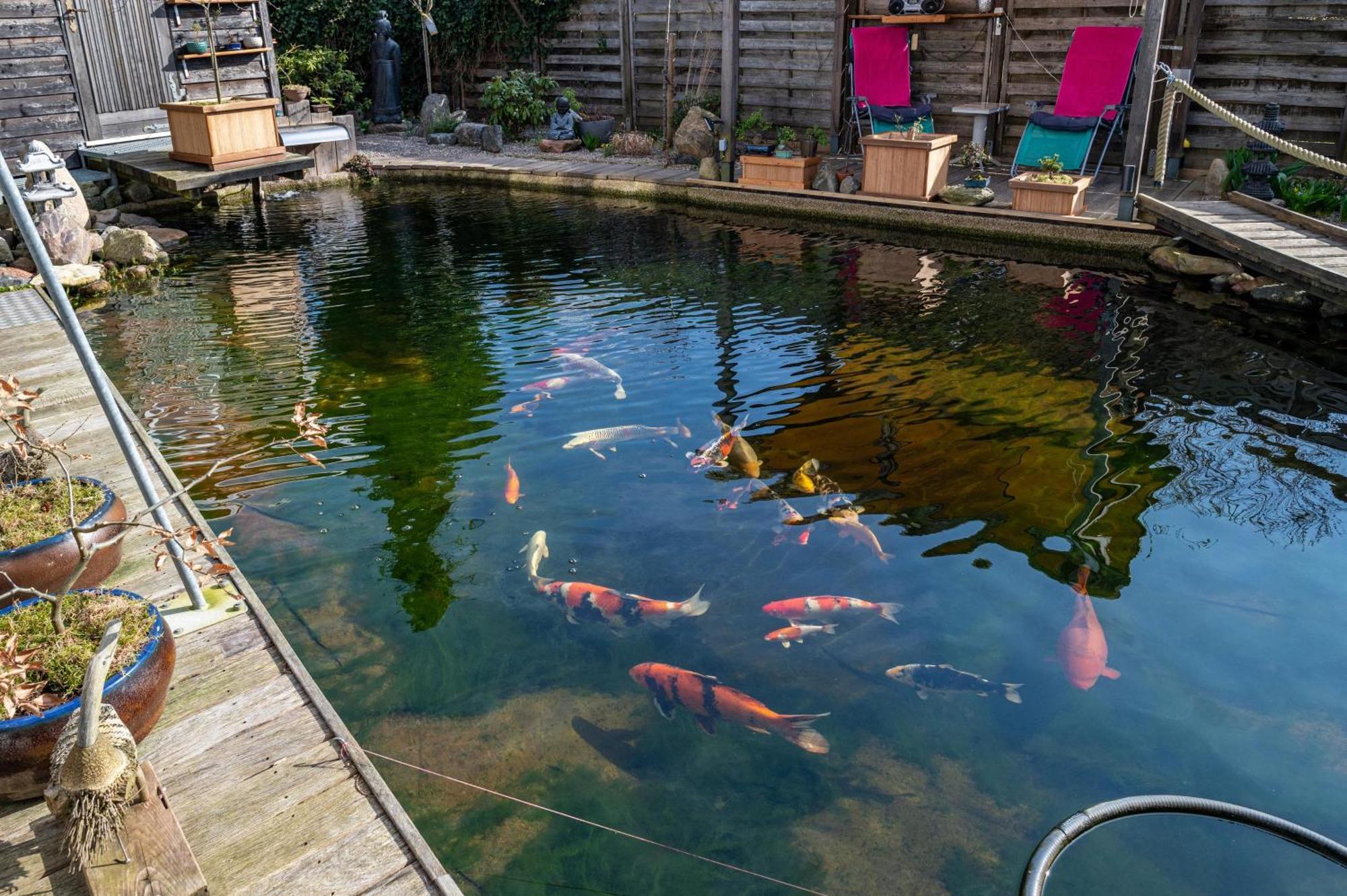 Apartamento Am Teich Bützow Exterior foto